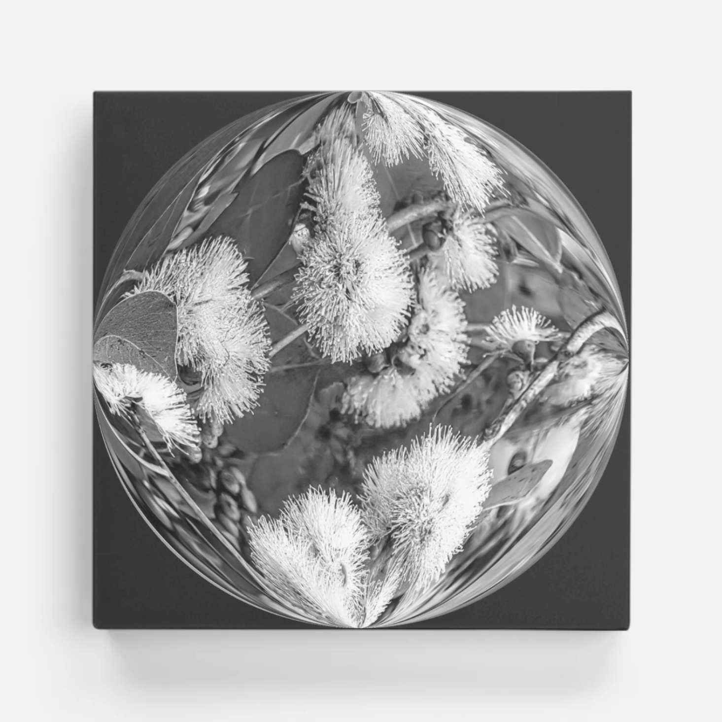 Gum Blossom Crystal.png