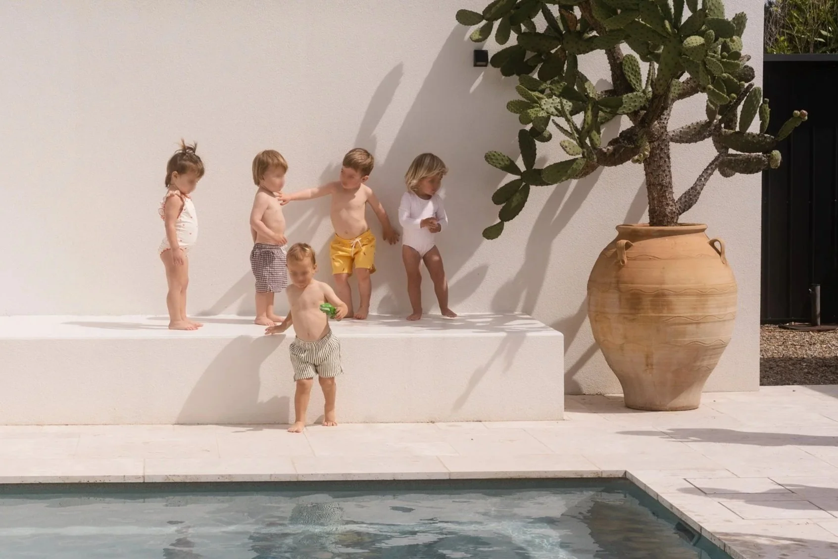 Six young children standing on a white ledge beside a swimming pool, with a large potted cactus plant on the right side and a plain white wall in the background. One child is in the pool.