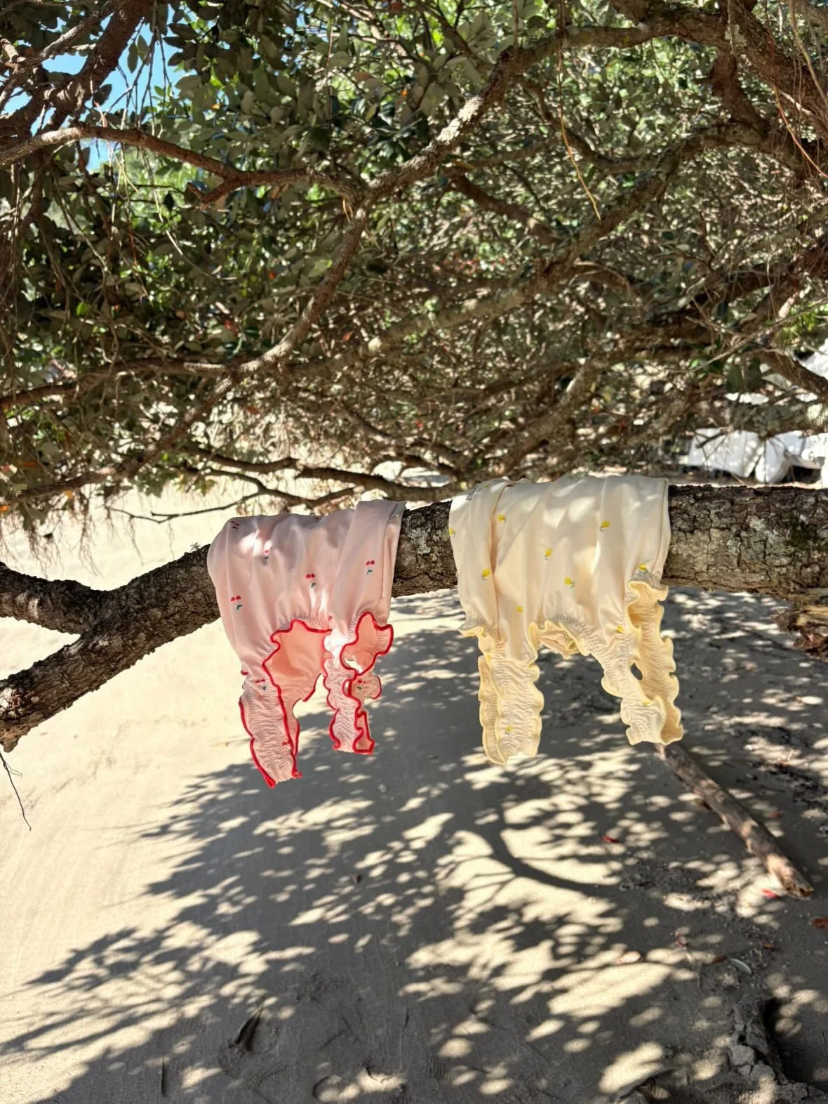 Two pieces of children's clothing hanging on a tree branch in a sunny outdoor setting. One is pink with red stitching, and the other is yellow with small yellow accents. The background includes leafy branches and a sandy ground with shadows.