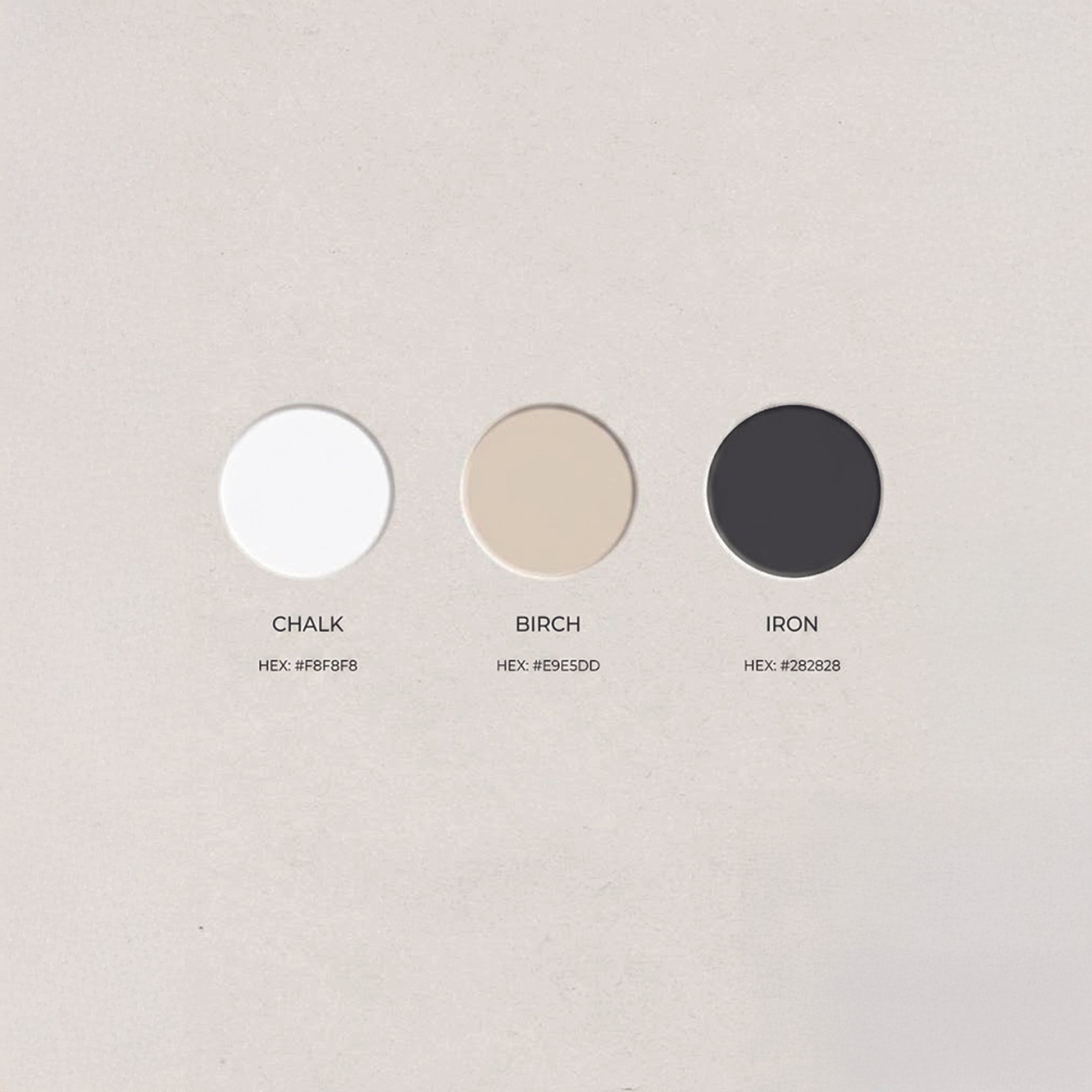 Color palette with shades named chalk, birch, and iron, along with their hexadecimal color codes.