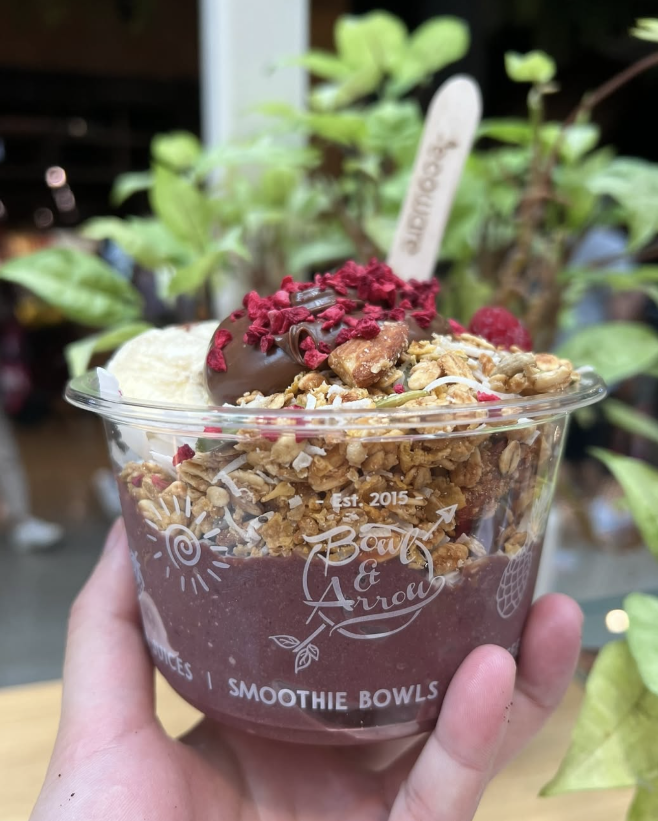 Close-up of a bowl with layered food, including granola, berries, and chocolate, topped with red berries and a chocolate drizzle, held by a person against a background of green plants.
