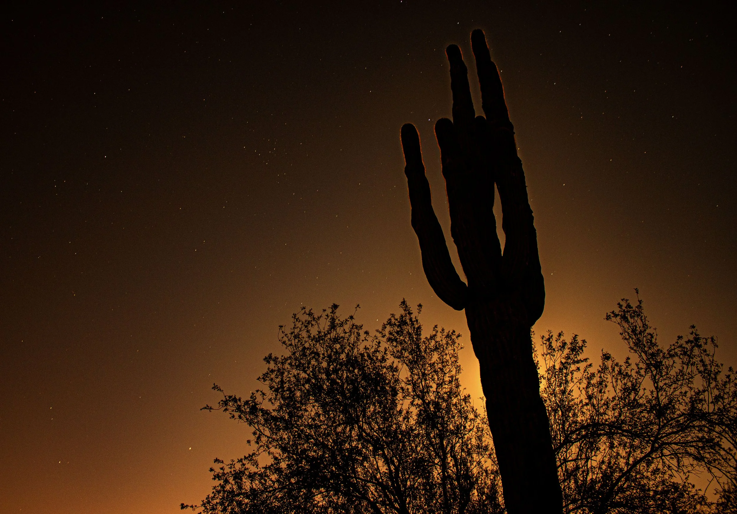 Long Exposure Photography 2019