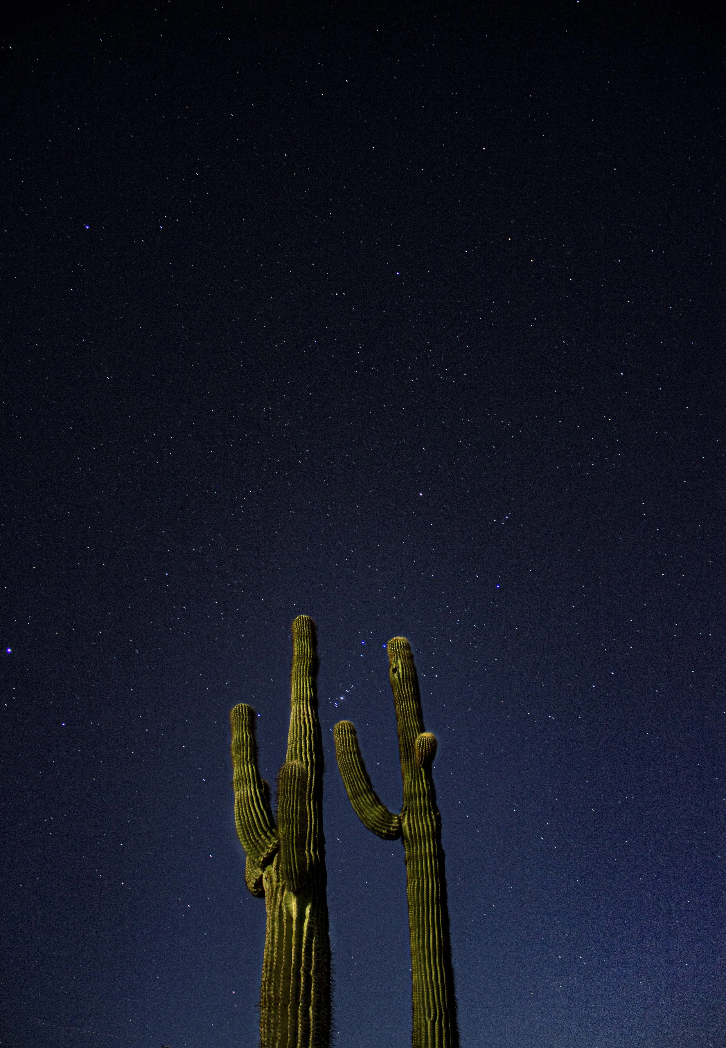 Long Exposure Photography 2019