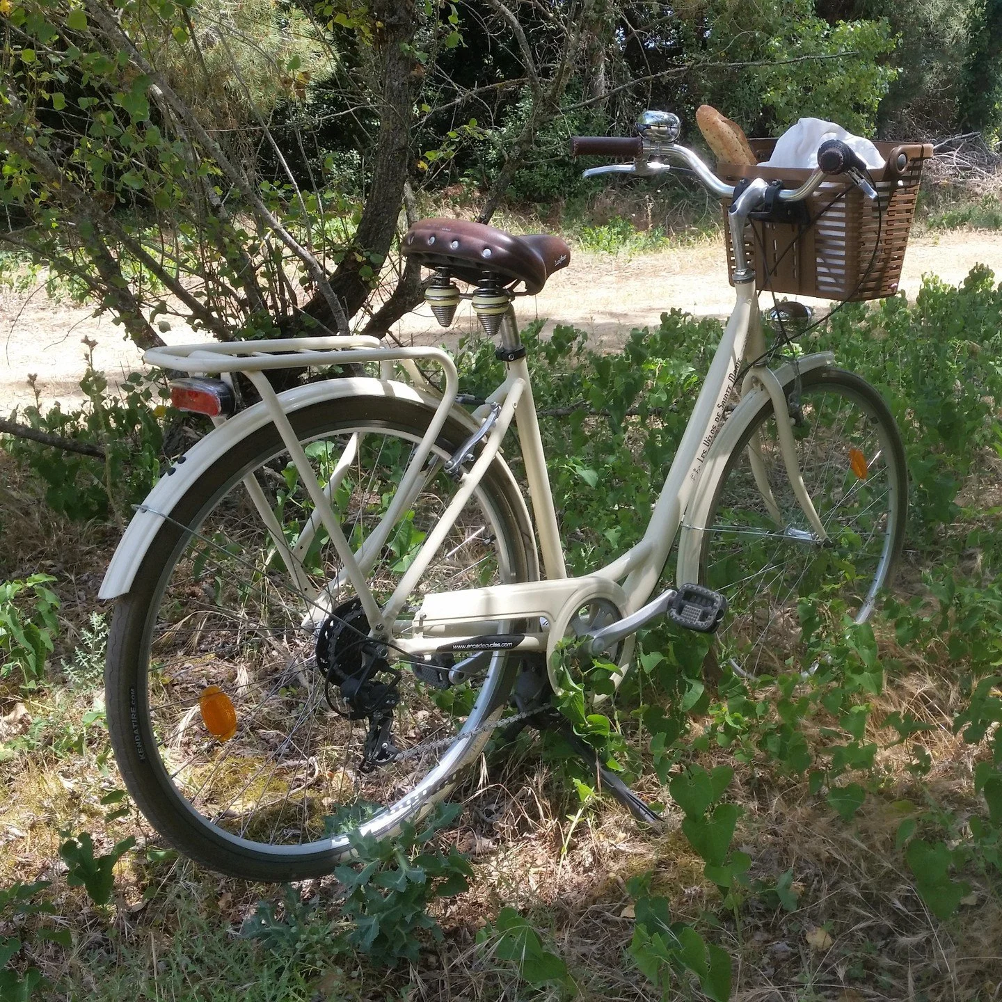 Un p'tit pique-nique dans les bois ? :)