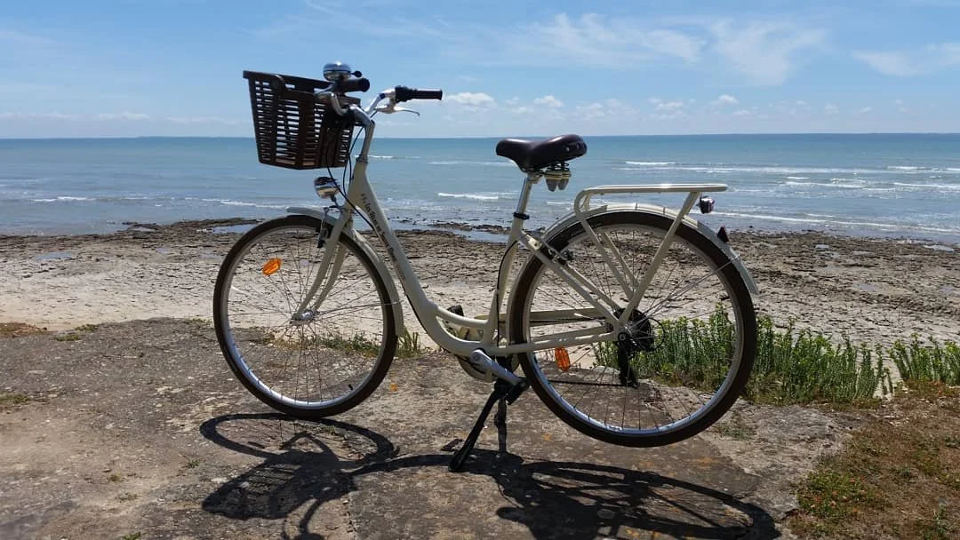 Le Must Have (en 28 pouces) 😊 🌴
#ileder&eacute; #&icirc;ledere #locationveloiledere #balladevelo #decouvririledere #vacancesileder&eacute; #saintemarieder&eacute; #saintemariedere #ilederetourisme #balladeveloiledere #jaimeiledere #jaimeileder&eacu