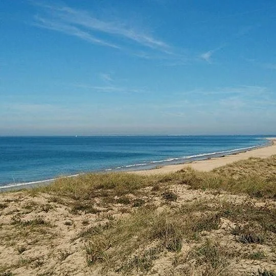 Merci &agrave; coudertmarie 
@lesvelosdesaintemarie 
#ileder&eacute; #&icirc;leder&eacute; #couleurs #locationveloiledere #balladevelo #decouvririledere #vacancesileder&eacute; #saintemarieder&eacute; #saintemariedere #ilederetourisme #balladeveloile