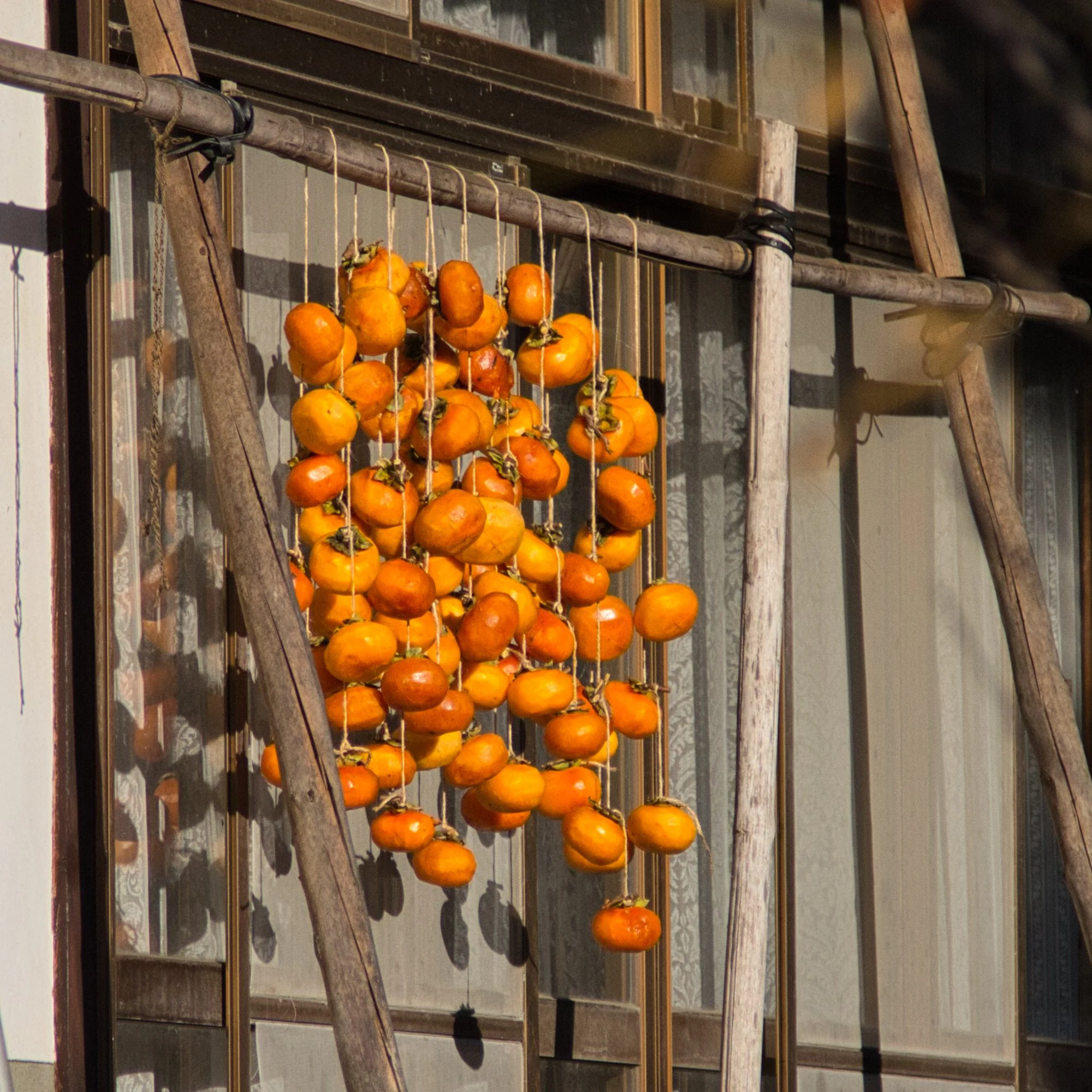 Nagano - Ueda drying persimmons