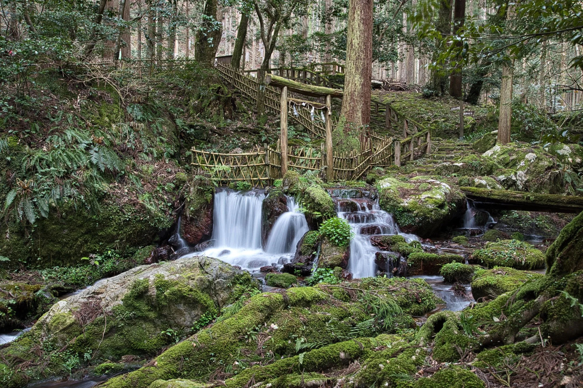 Fukui - Uriwari Taki (waterfall)