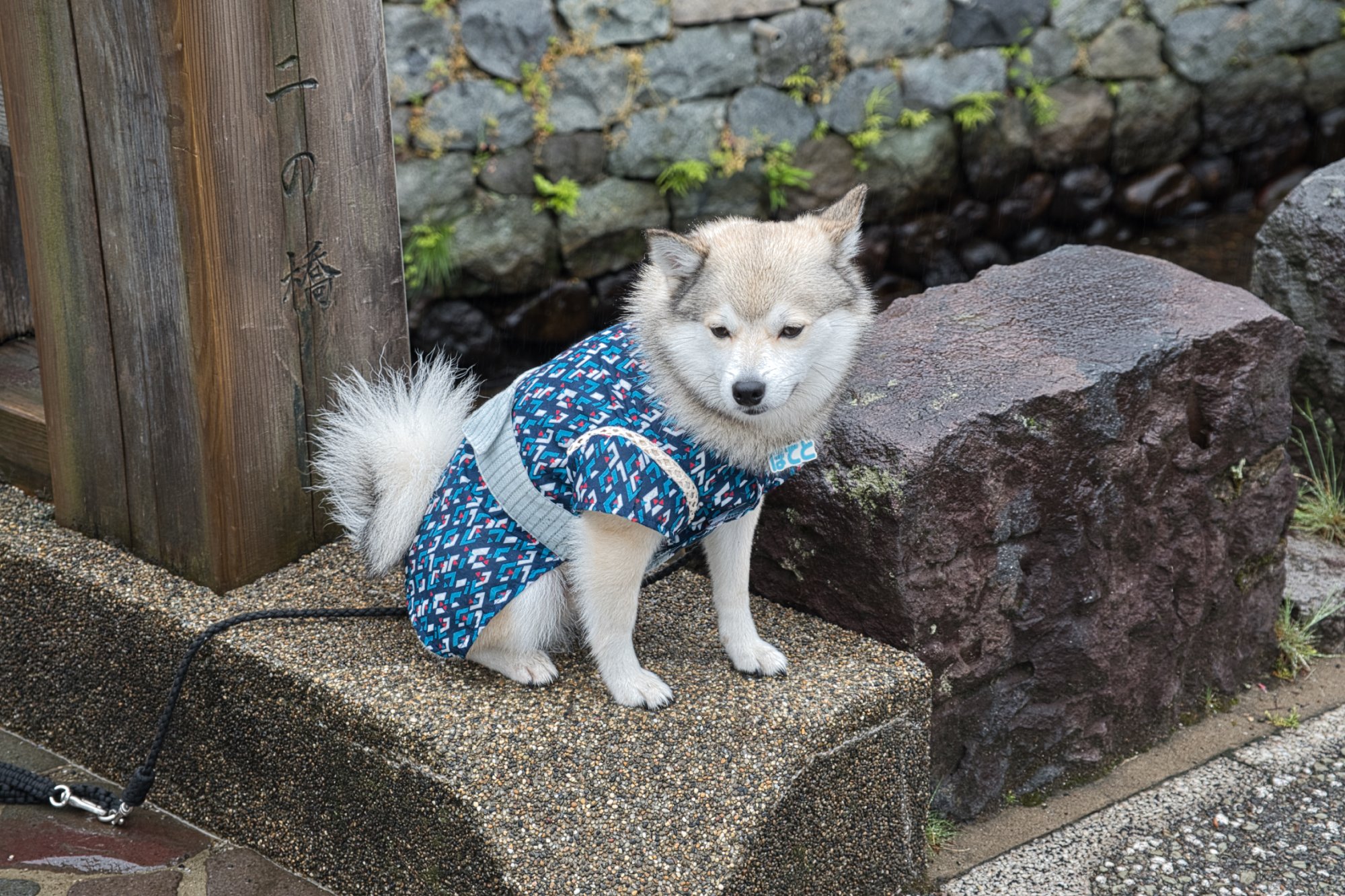 Ishikawa Kanagawa Cutie