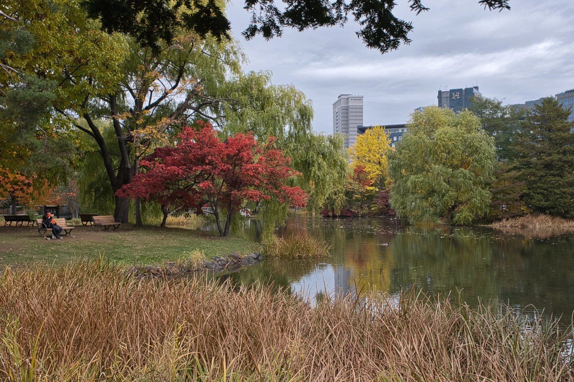 Sapporo Nakajima Koen