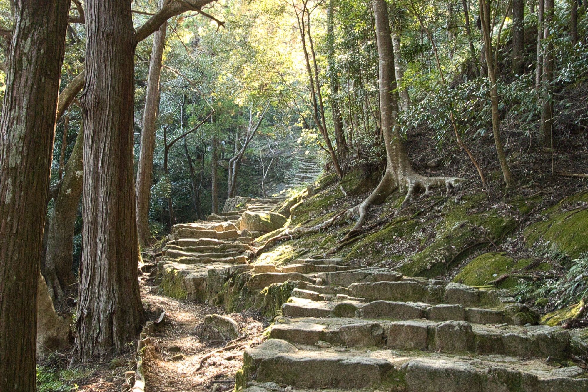 Wakayama - Kamikura Shrine path