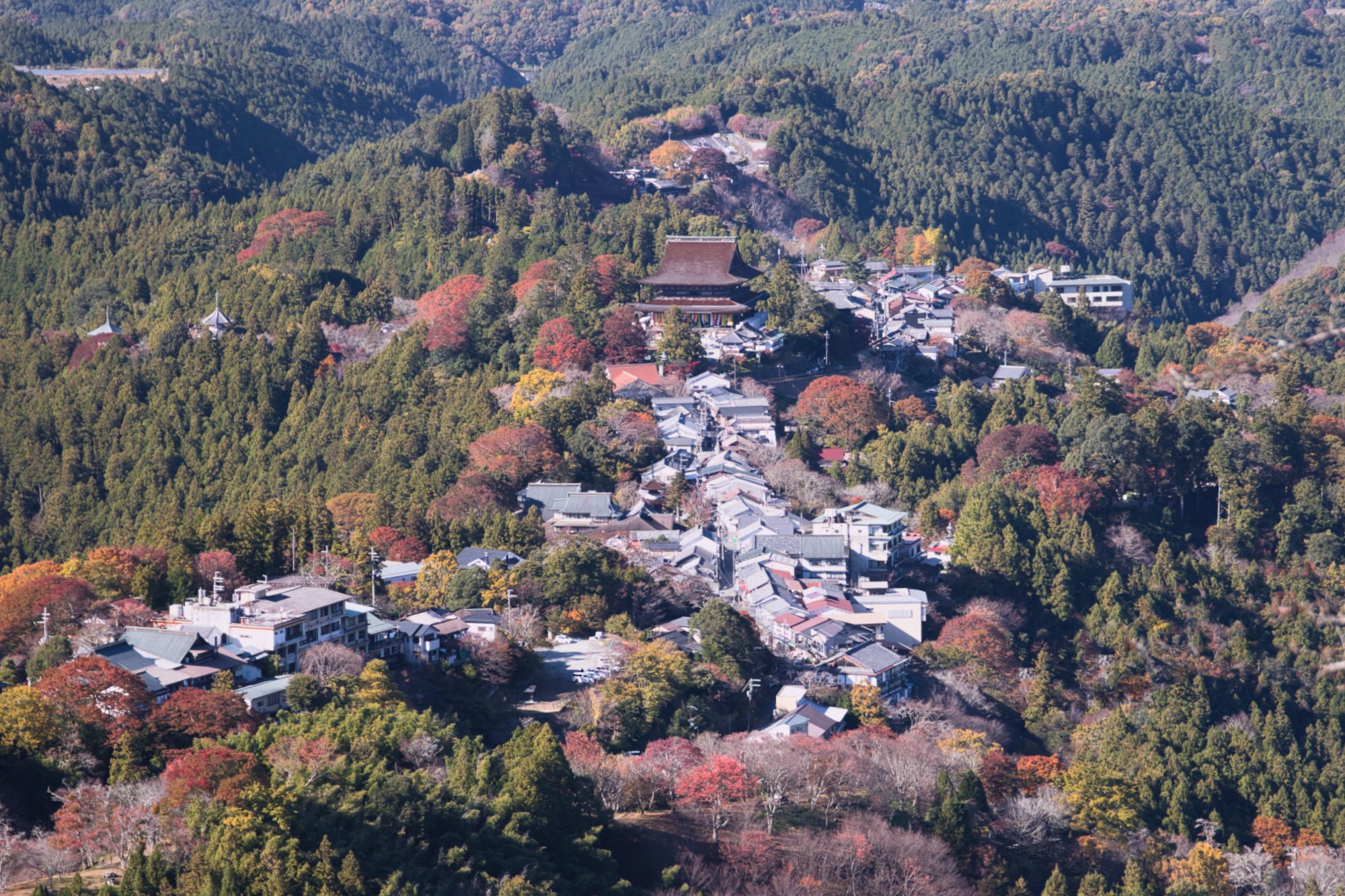 Nara - Yoshino