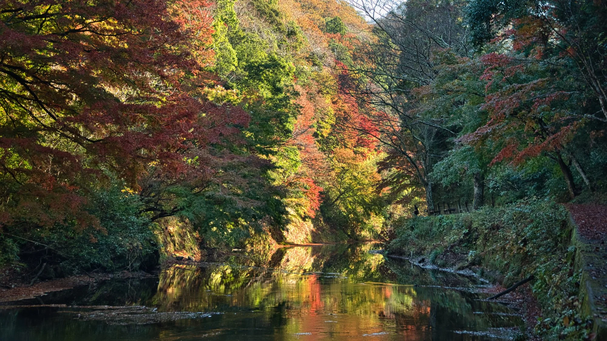 Chiba - Yoro Valley