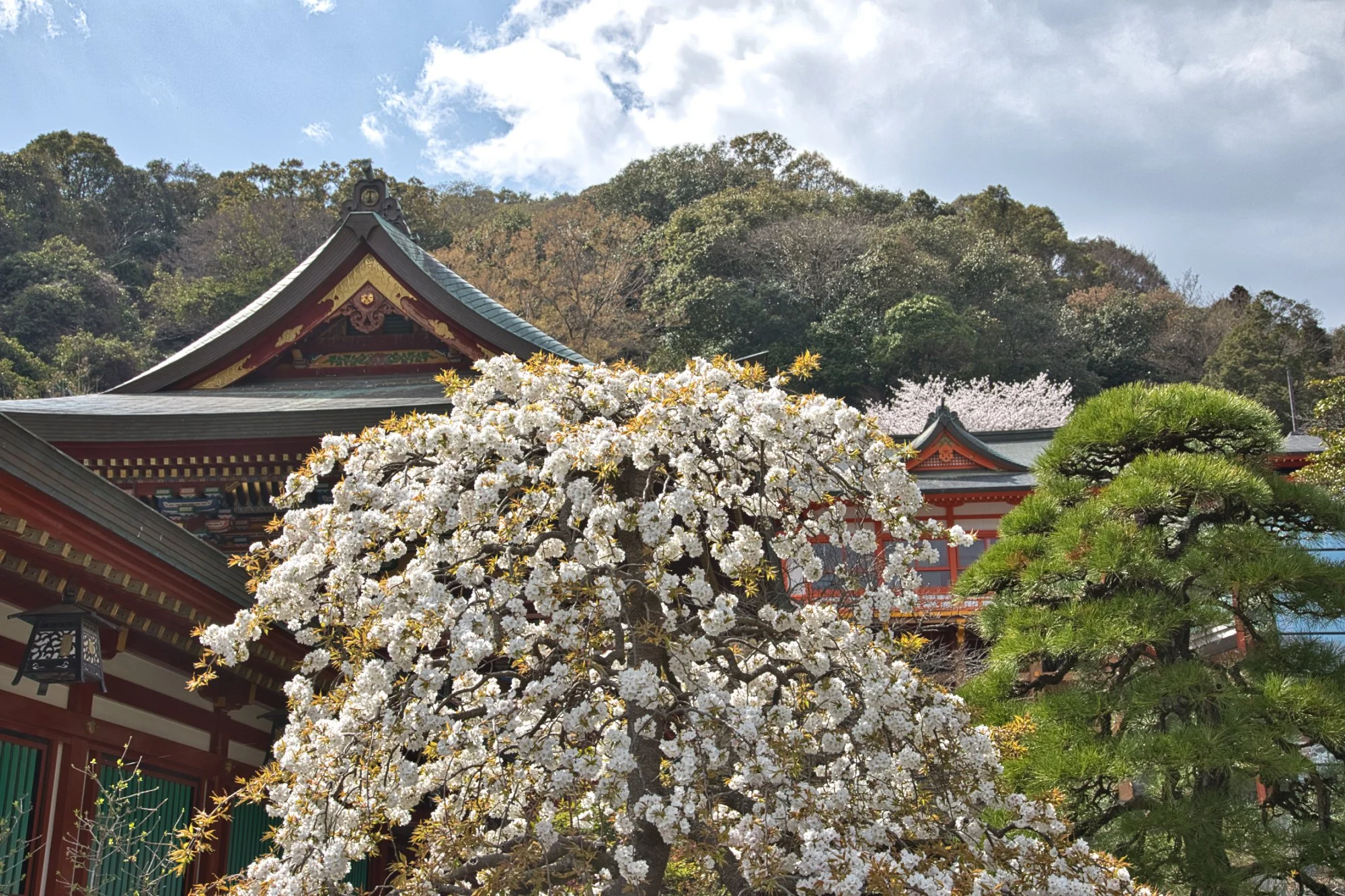 Saga - Yutoku Inari Shrine