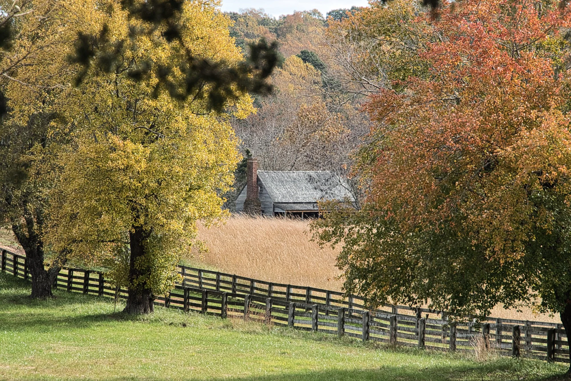 A view at Appomattox Court House National Park, Appomattox Virginia