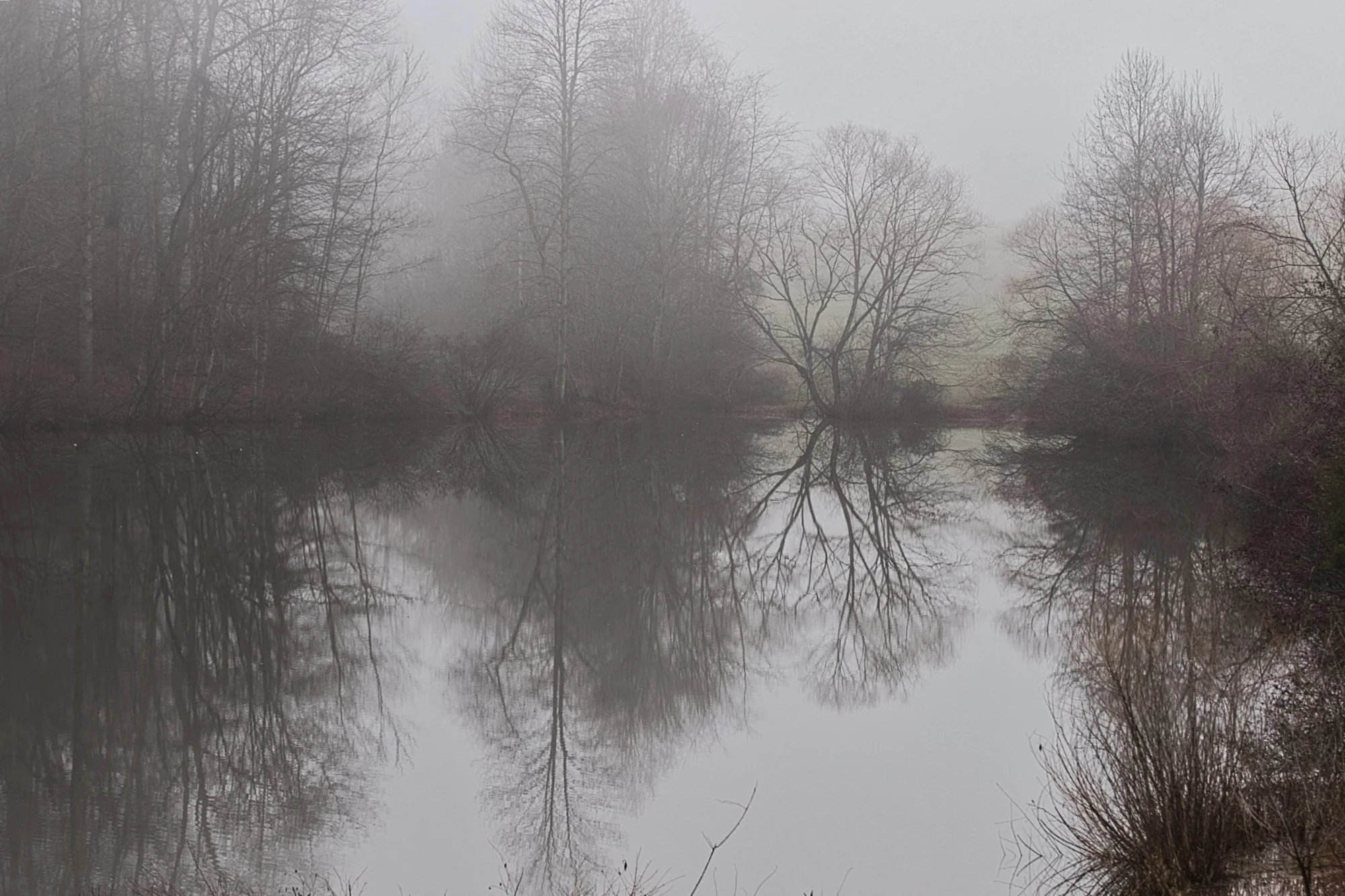 Barbara`s Pond Crozet Virginia