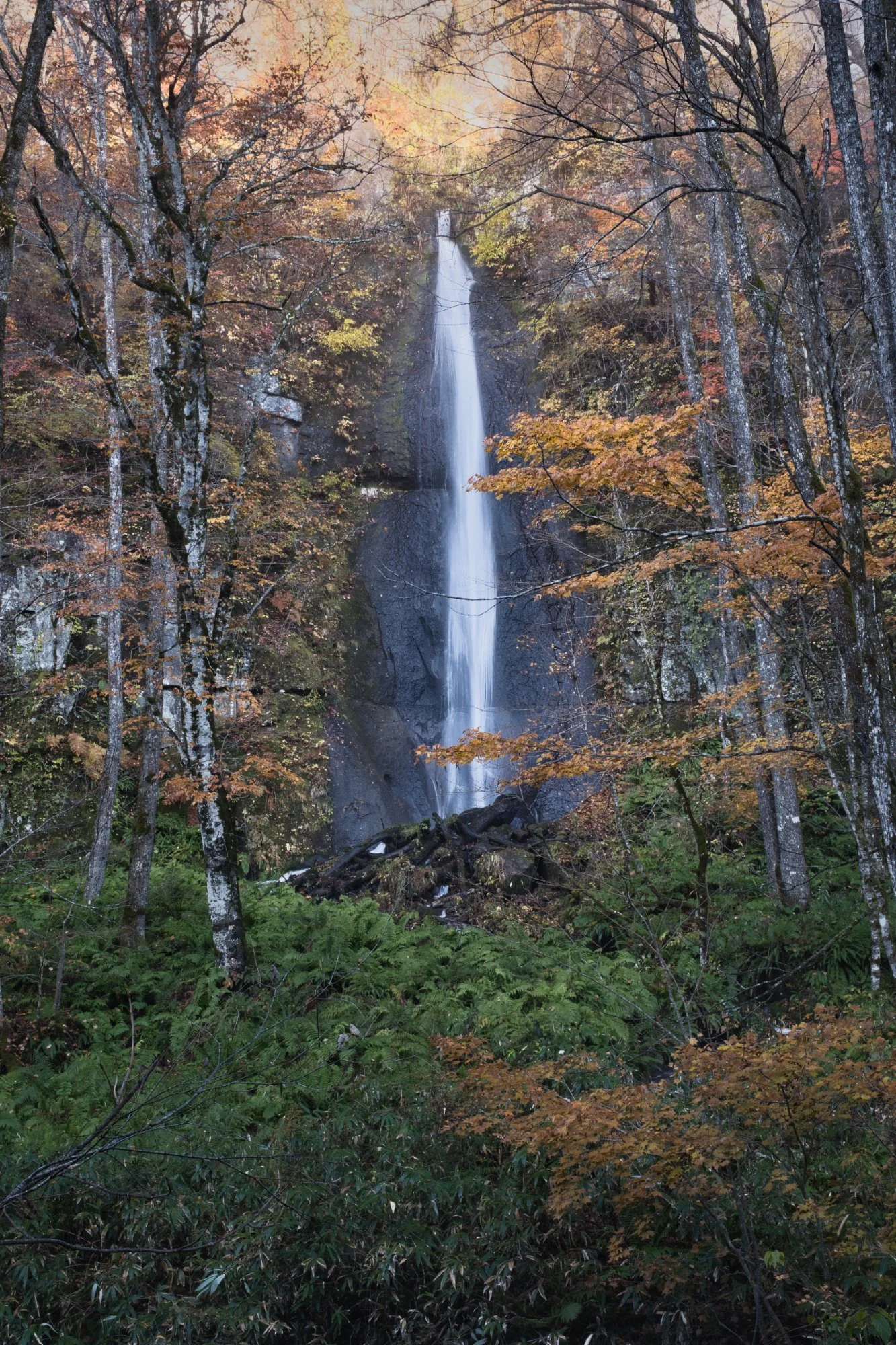 Aomori - Shiraito Taki (waterfall) in Oirase Gorge