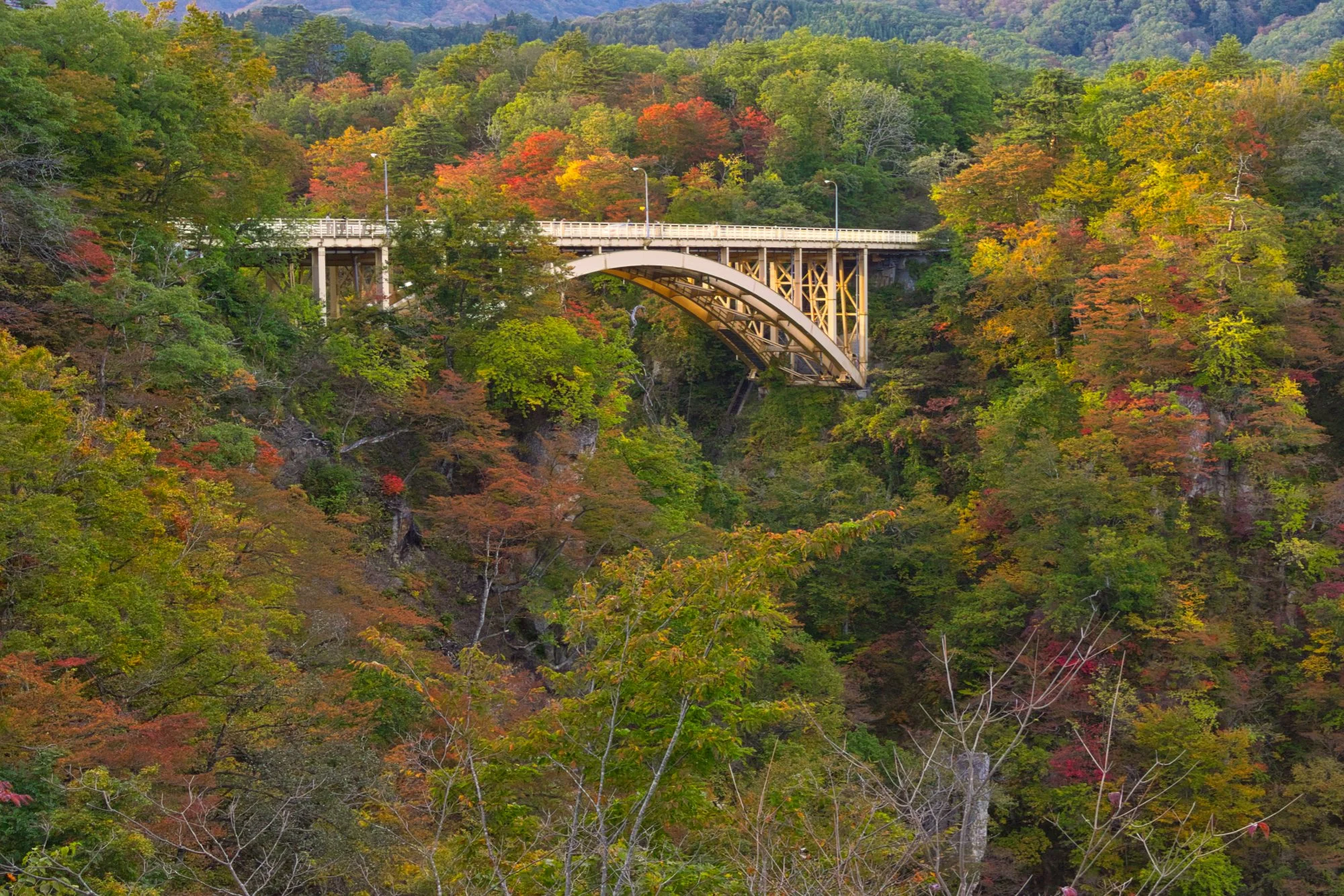 Miyagi - Oofukasawa Bridge