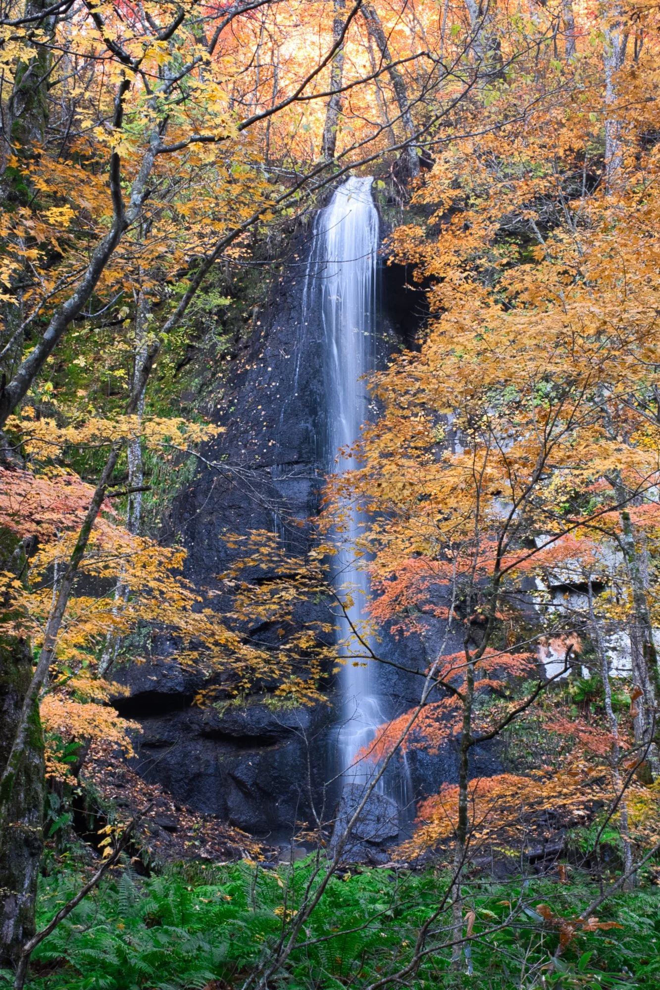 Aomori - Shiraito Taki (waterfall) in Oirase Gorge