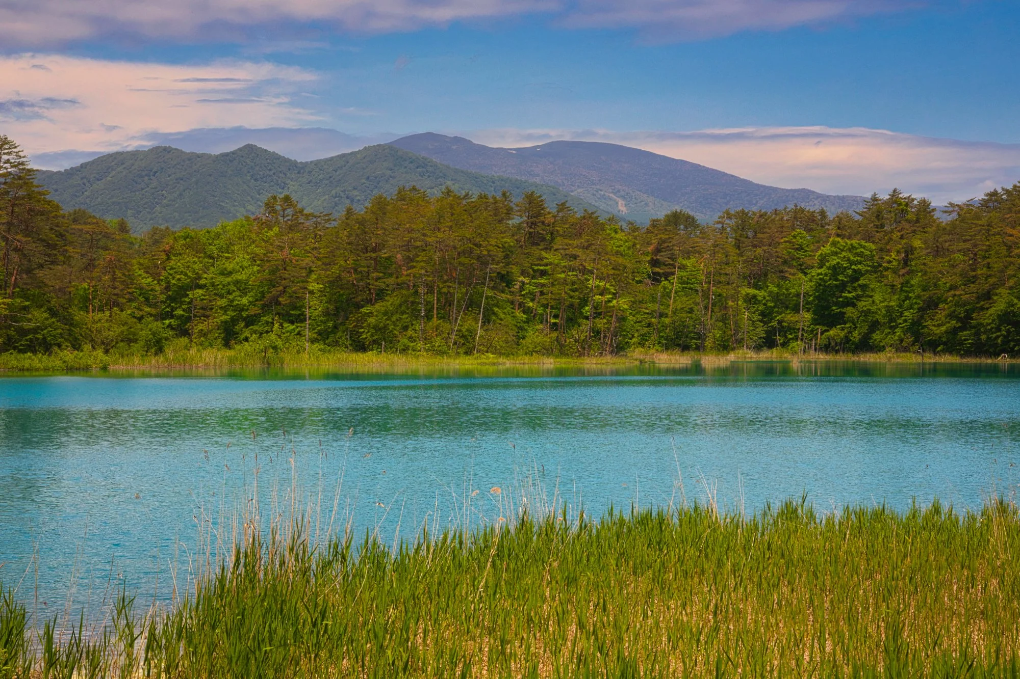 Fukushima - Goshikinuma Ponds