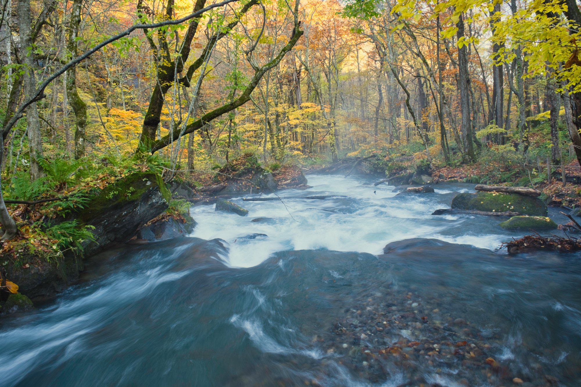 Aomori - Oirase Gorge