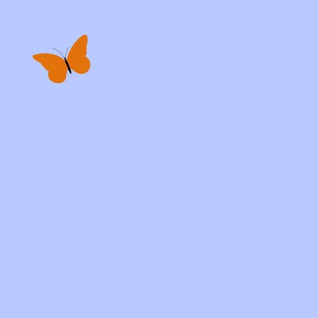 An orange butterfly flying in a light blue sky. gnash's album art for ep "me".