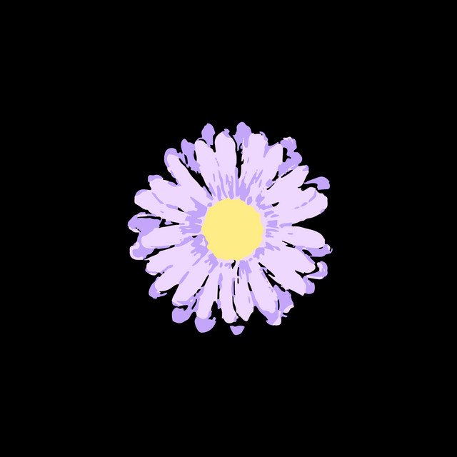 Digital illustration of a purple daisy with a yellow center on a black background. gnash's album art for ep "me".