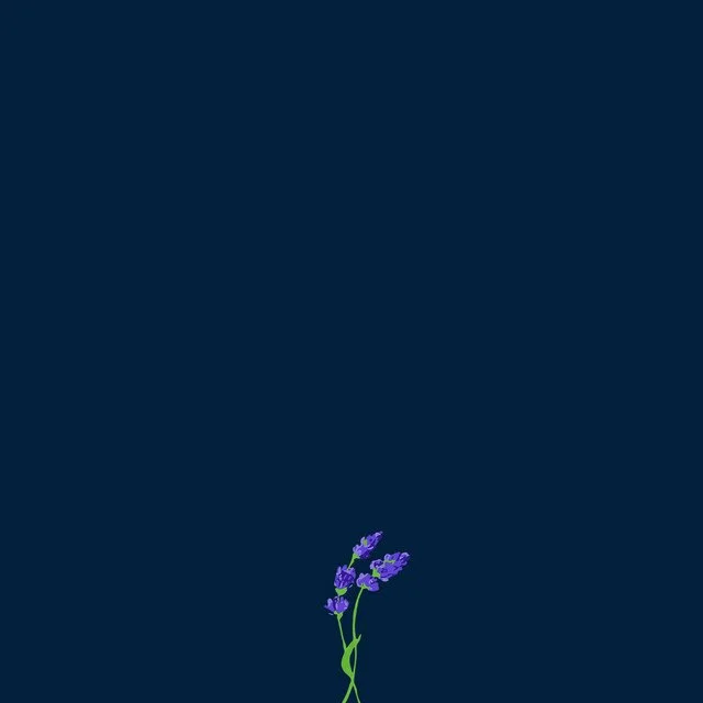 Illustration of a lavender flower with purple petals and green stems against a dark blue background. gnash's album art for ep "us" featuring the single "i hate u, i love u"