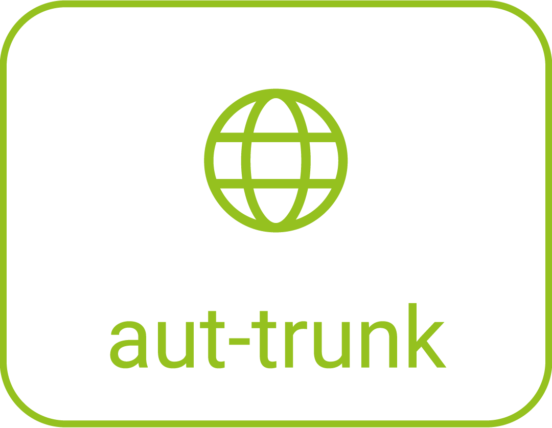 Symbol eines Autos mit einem grünen Globus darüber und der Beschriftung 'aut-trunk'.