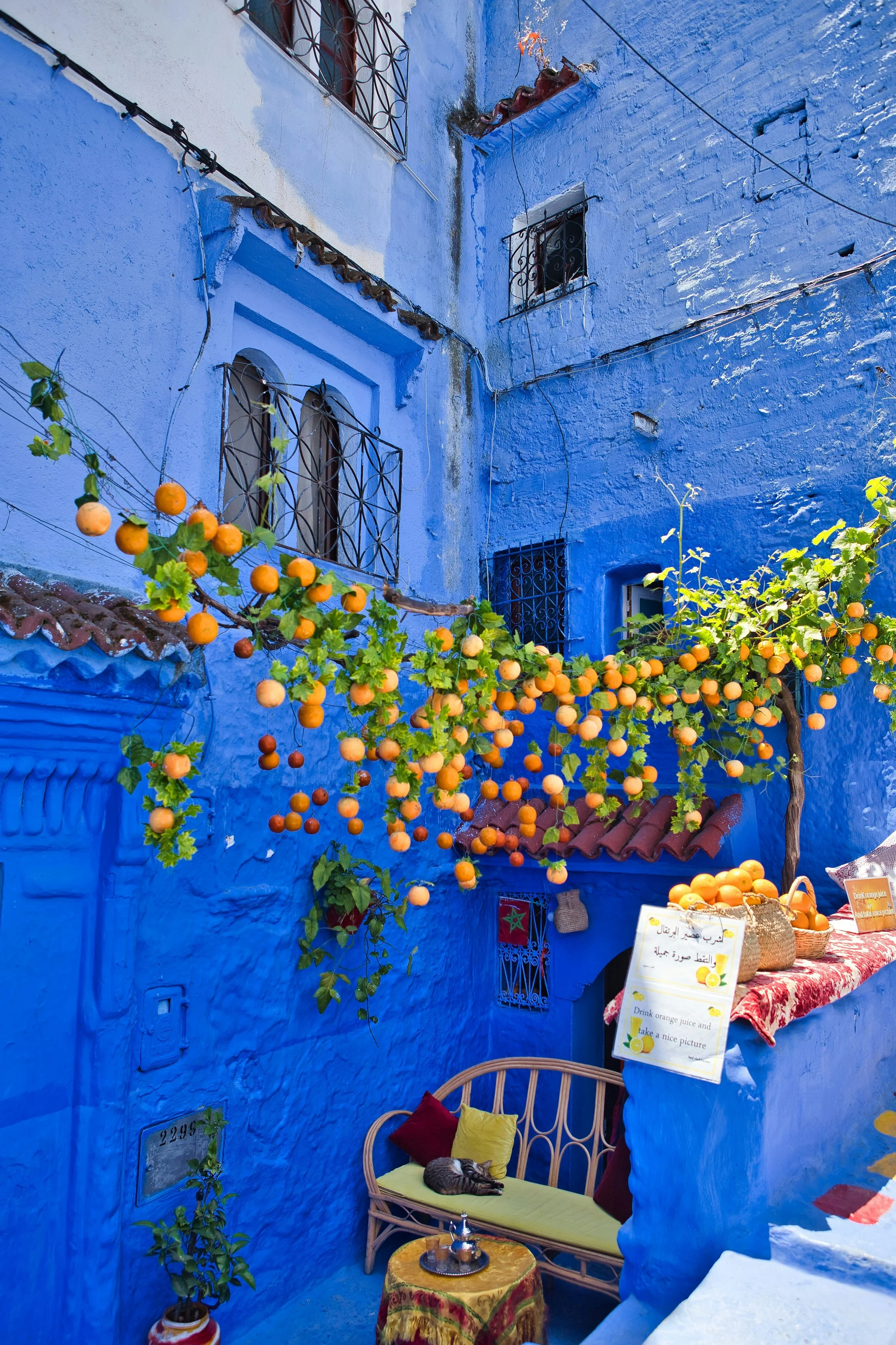 Morocco Vistas | Moorish & Andalusian Heritage — vibrant blue courtyard with orange trees, Chefchaouen
