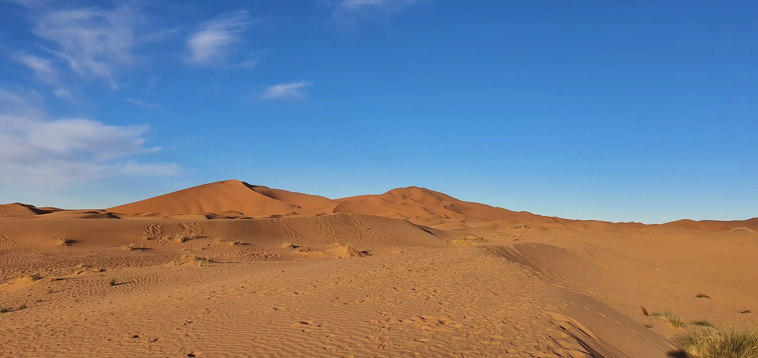 A desert landscape with sand dunes and a clear blue sky.