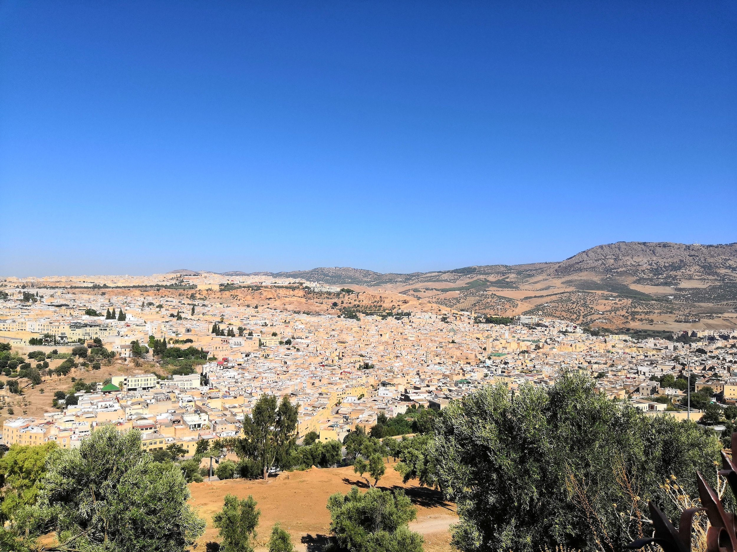 A panoramic view of a cityscape with numerous buildings, surrounded by hills and mountains under a clear blue sky, with some green trees in the foreground.