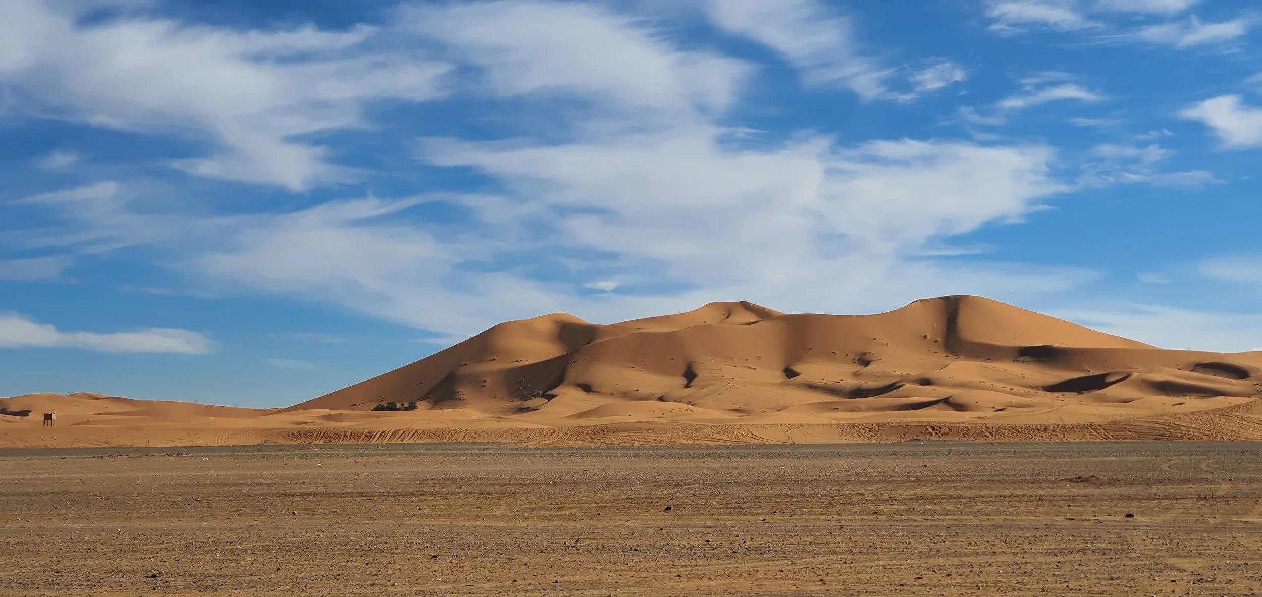 sahara desert .jpg