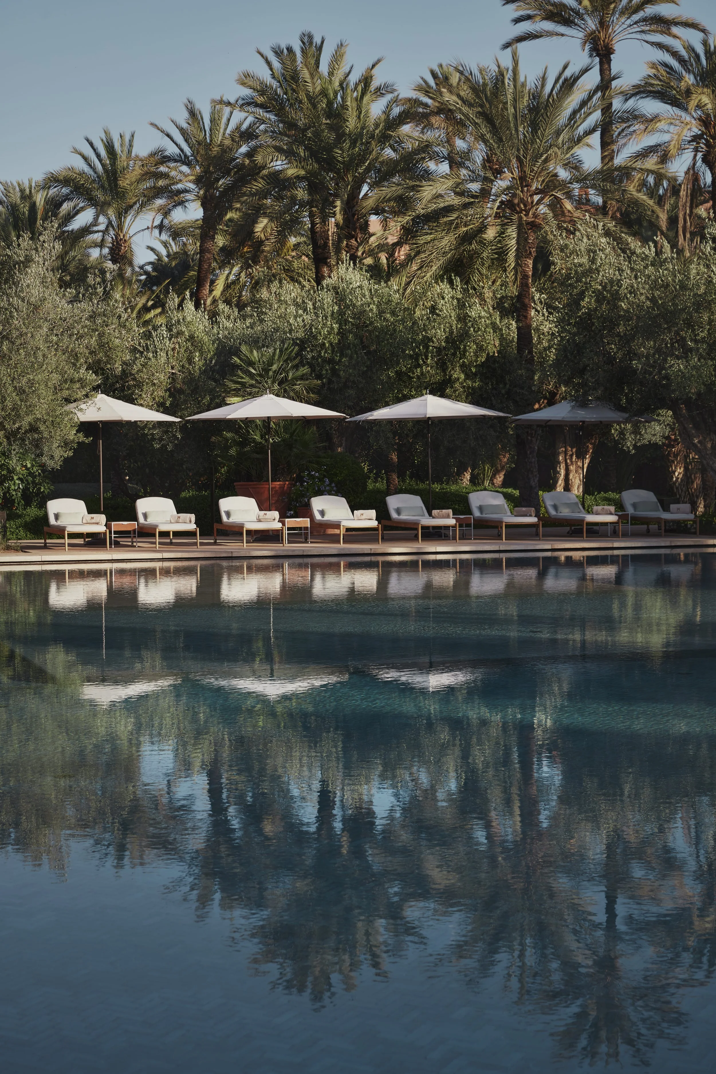 Luxury swimming pool with lounge chairs and umbrellas surrounded by palm trees and greenery.