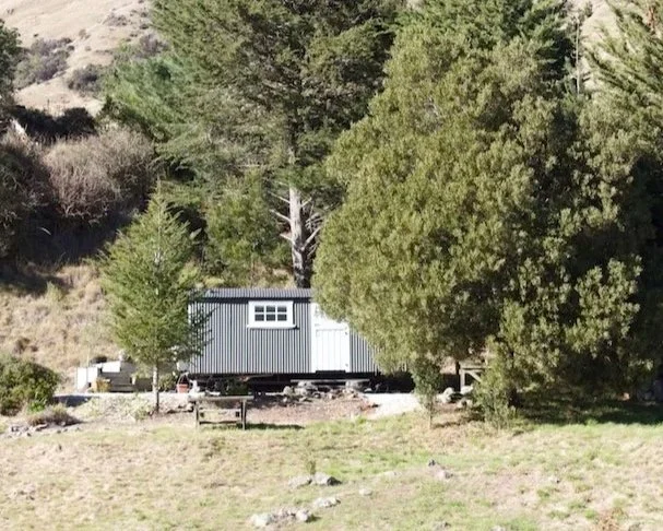 Renovated railway carriage cabin surrounded by trees at Wildwood Estate
