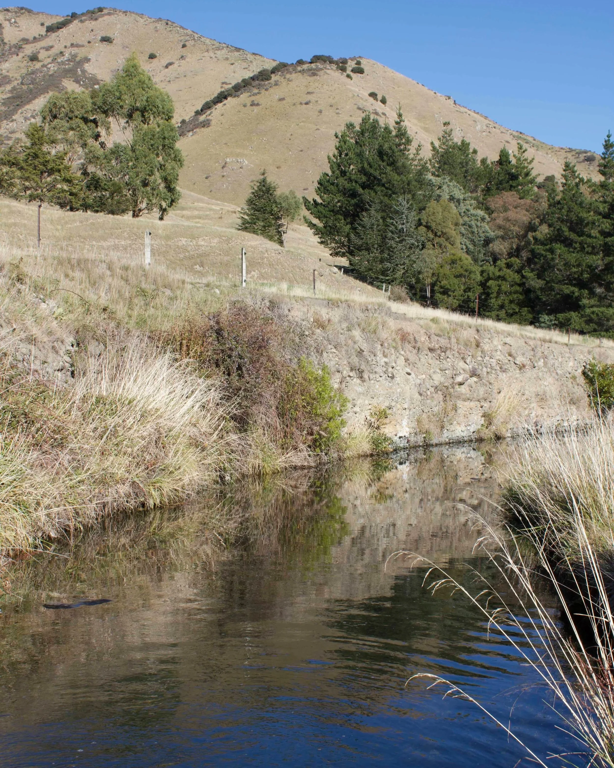 Marlborough Through the Seasons