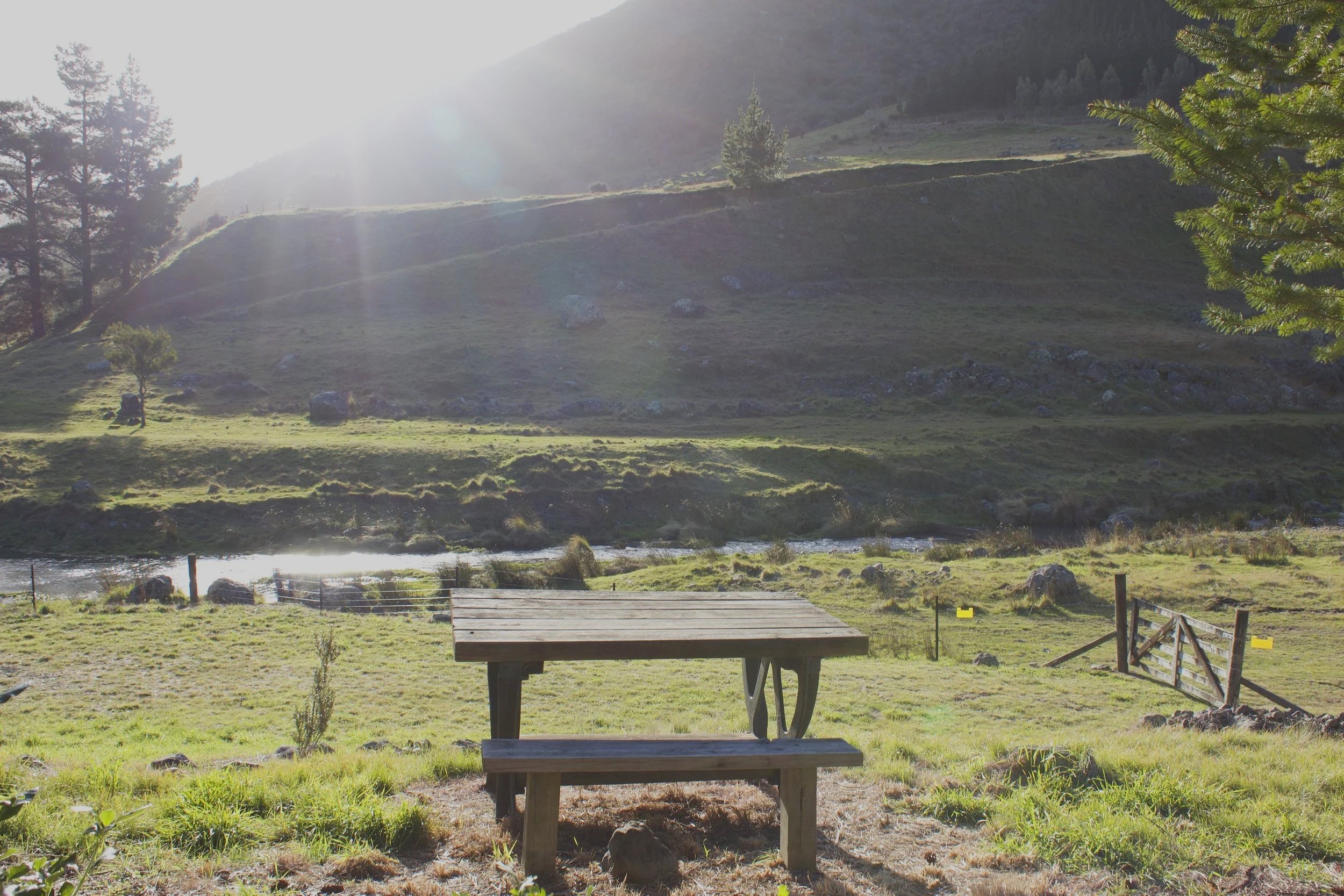 Picnic table overlooking the river and hillside at Wildwood Estate