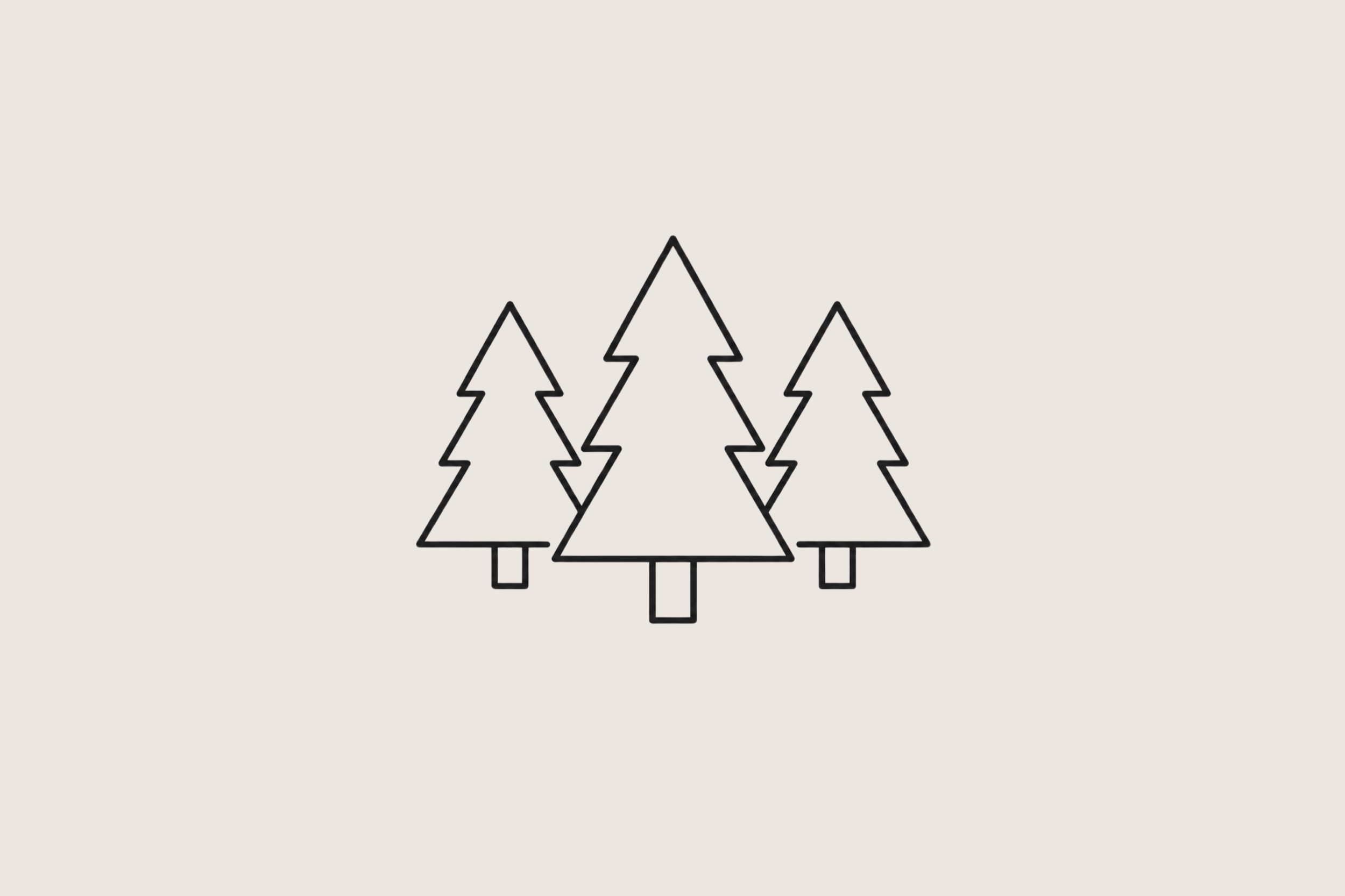 Peaceful trails, pine forest and open spaces