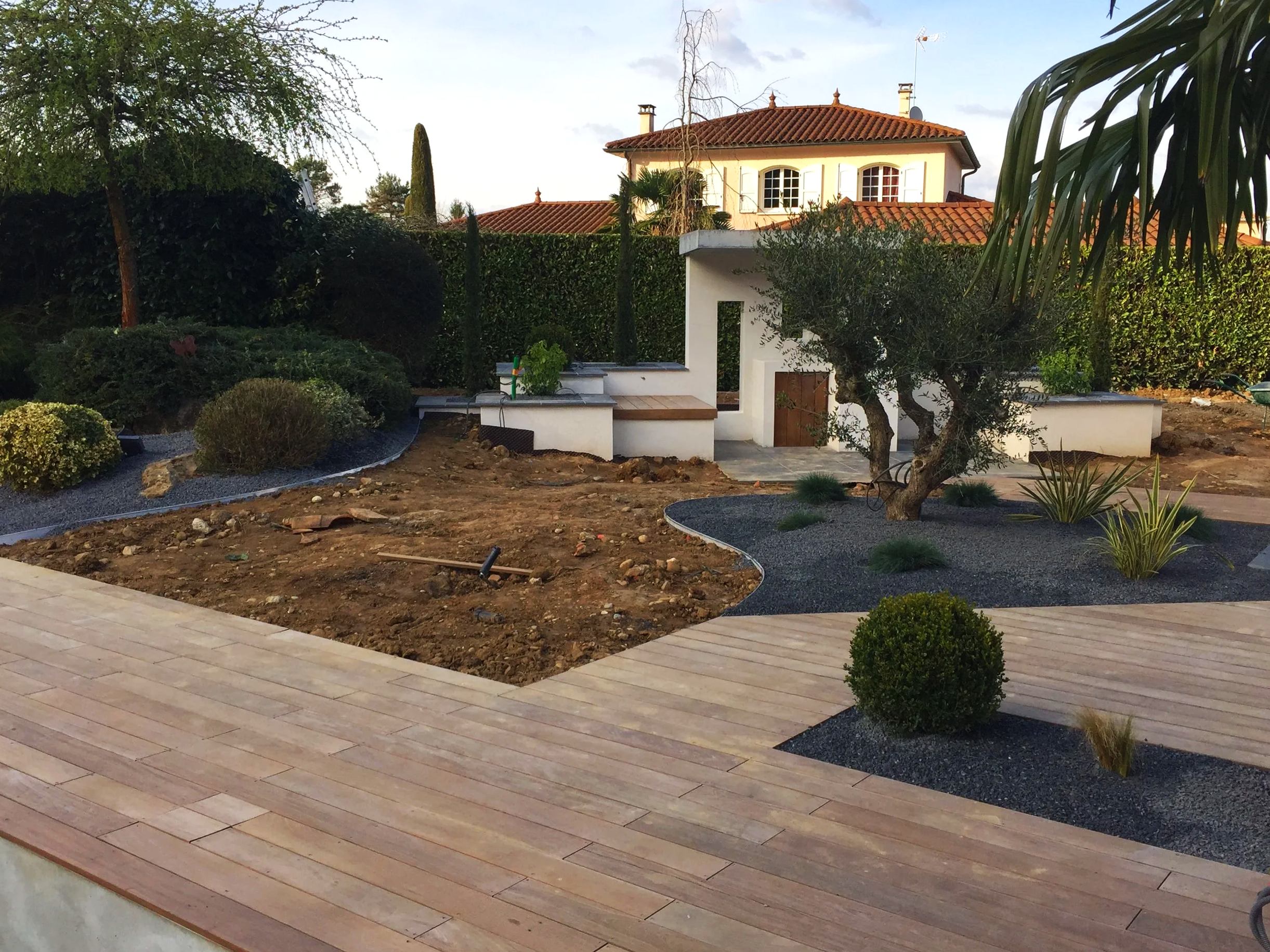 Jardin en cours d'aménagement avec des plantes, un arbre et une maison en arrière-plan