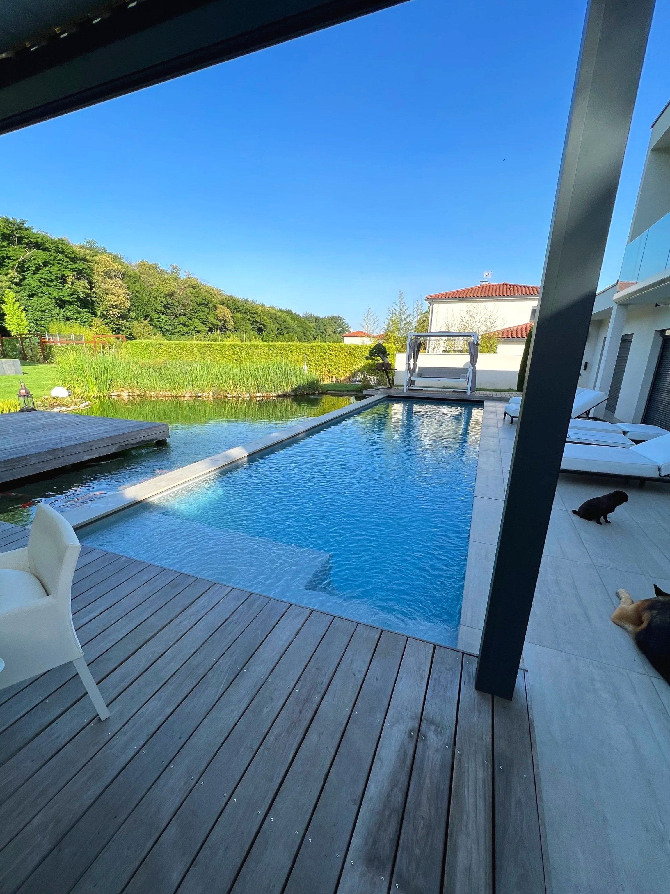 Vue de la piscine d'une maison moderne avec terrasse en bois, chaises longues, un chien et un paysage verdoyant avec des arbres et un ciel clair.