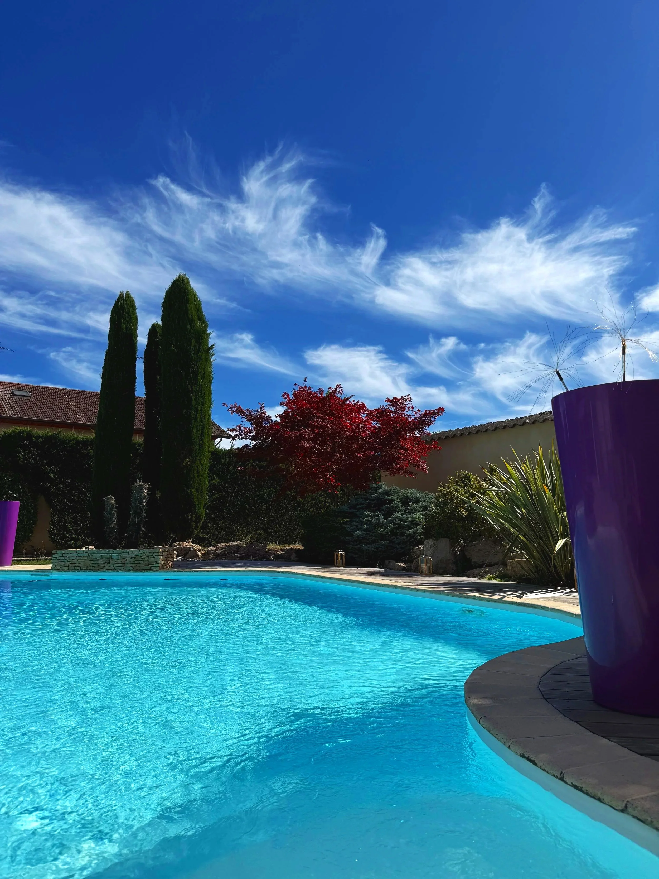 Piscine bleue claire dans un jardin avec des arbres, un bâtiment et des pots violets.