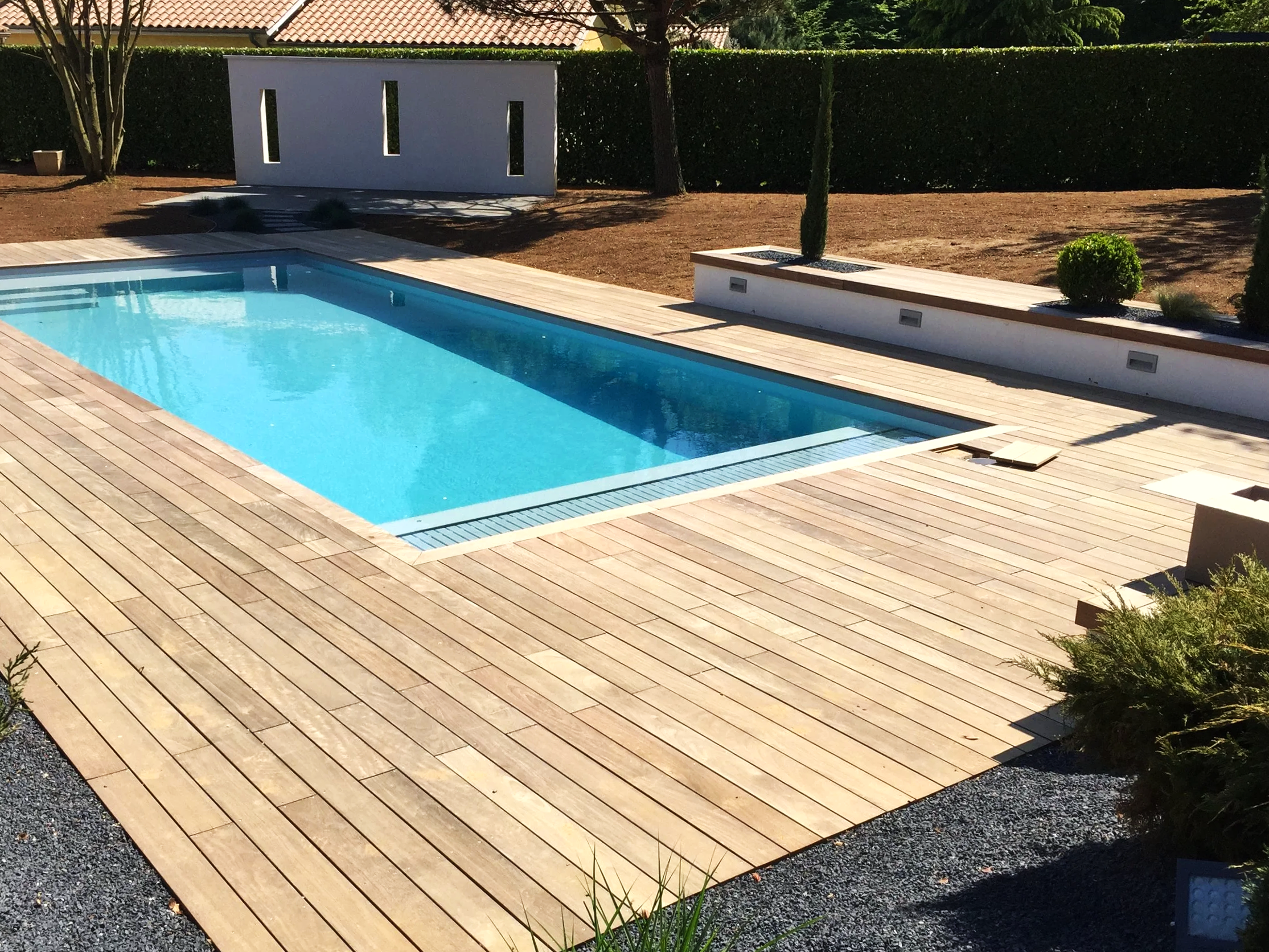 Une piscine rectangulaire avec une terrasse en bois, entourée de quelques plantes et d'une haie verte. En arrière-plan, un mur blanc avec des découpes et un arbre.