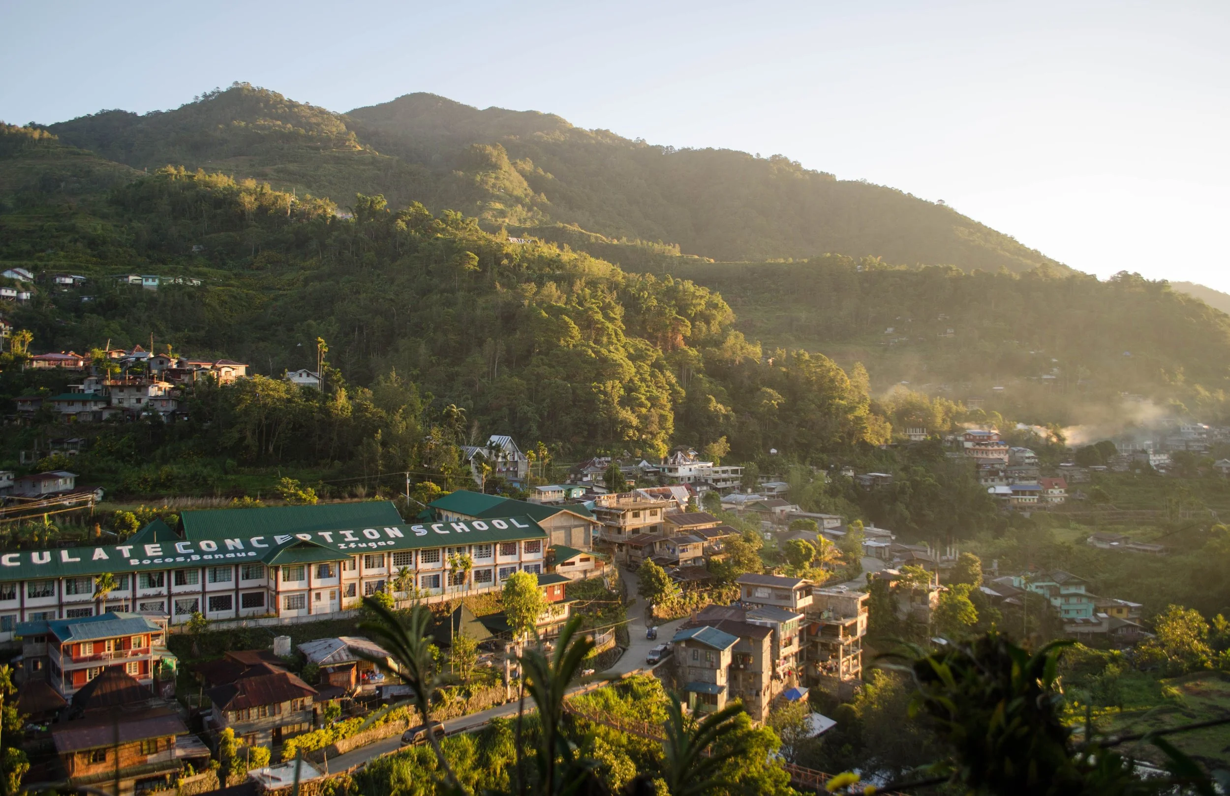 Why More Coffee Roasters Are Sourcing Green Coffee from the Philippines