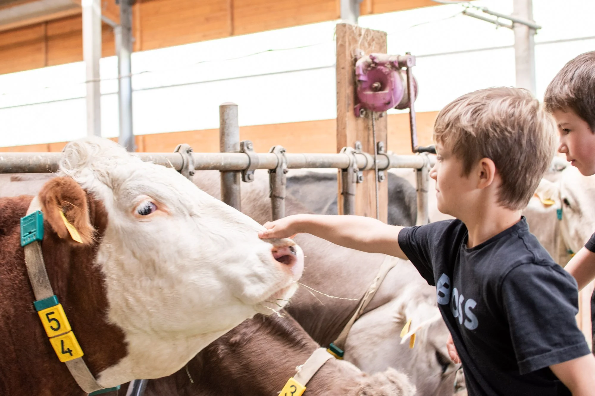 BIOHAUS FLORIAN © Clemens Rechberger-38.jpg