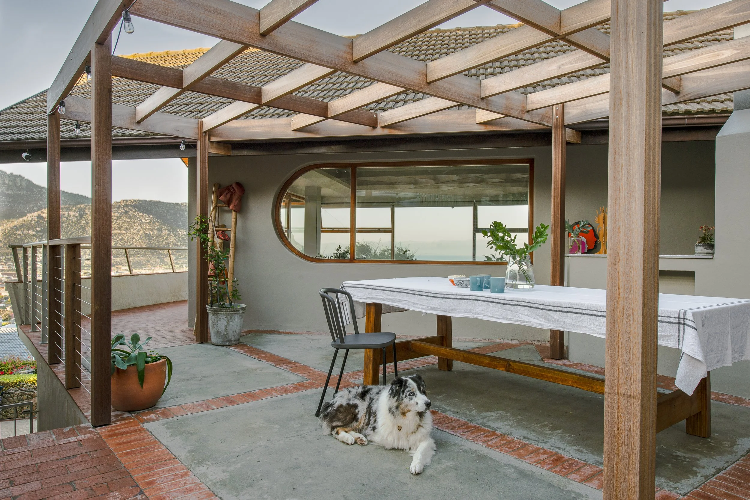 A dog with a merle coat lying on a concrete patio under a wooden pergola. There is a large window and potted plants on the patio, with mountains visible in the background.