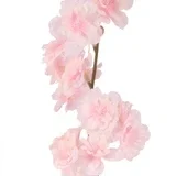 1000000342.webp