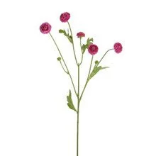 Lifelike Pink Ranunculus Stem