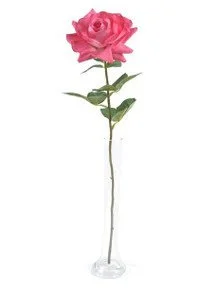Elegant Pink Rose large