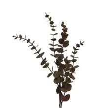 Artificial Eucalyptus Branch