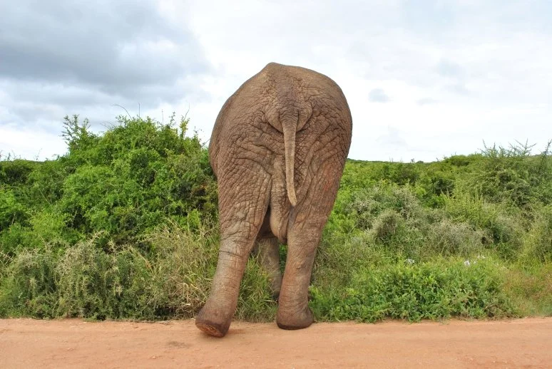 Looking back on one year of volunteering